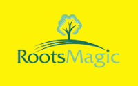 RootsMagic Essentials 8.2.0 ve Seri Anahtarı Ücretsiz İndir