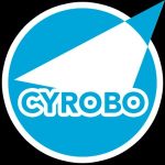 Cyrobo Clean Space Pro 7.66 Activation Key Download
